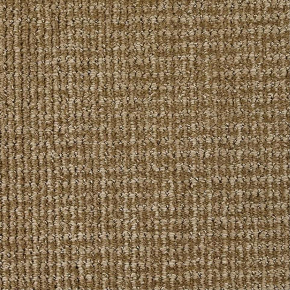 Pattern Smooth Brown Carpet