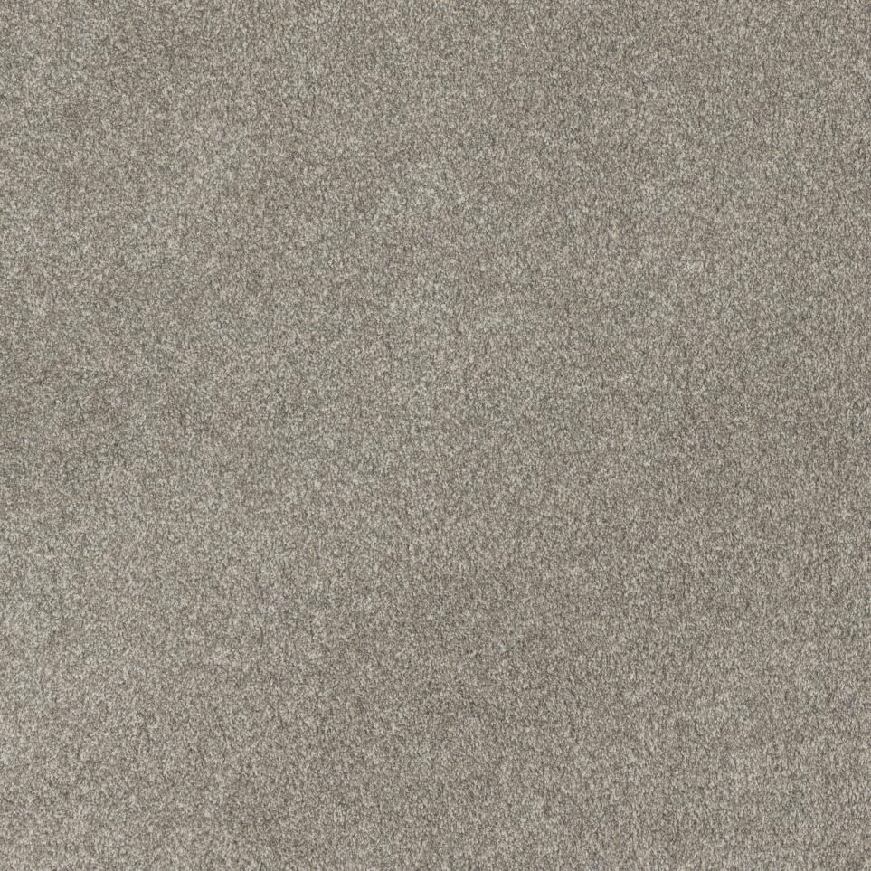 Textured Saxony Perfectly Put Beige/Tan Carpet