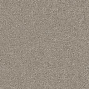 Textured Saxony Perennial Beige/Tan Carpet