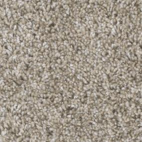 Textured Saxony Perennial Beige/Tan Carpet