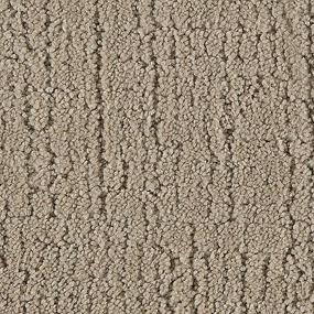 Pattern Whiskers Brown Carpet