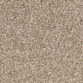 Casual Texture Adobe Beige/Tan Carpet