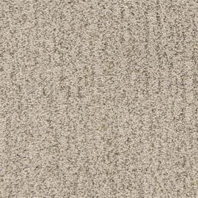 Textured Saxony Dolphin Beige/Tan Carpet