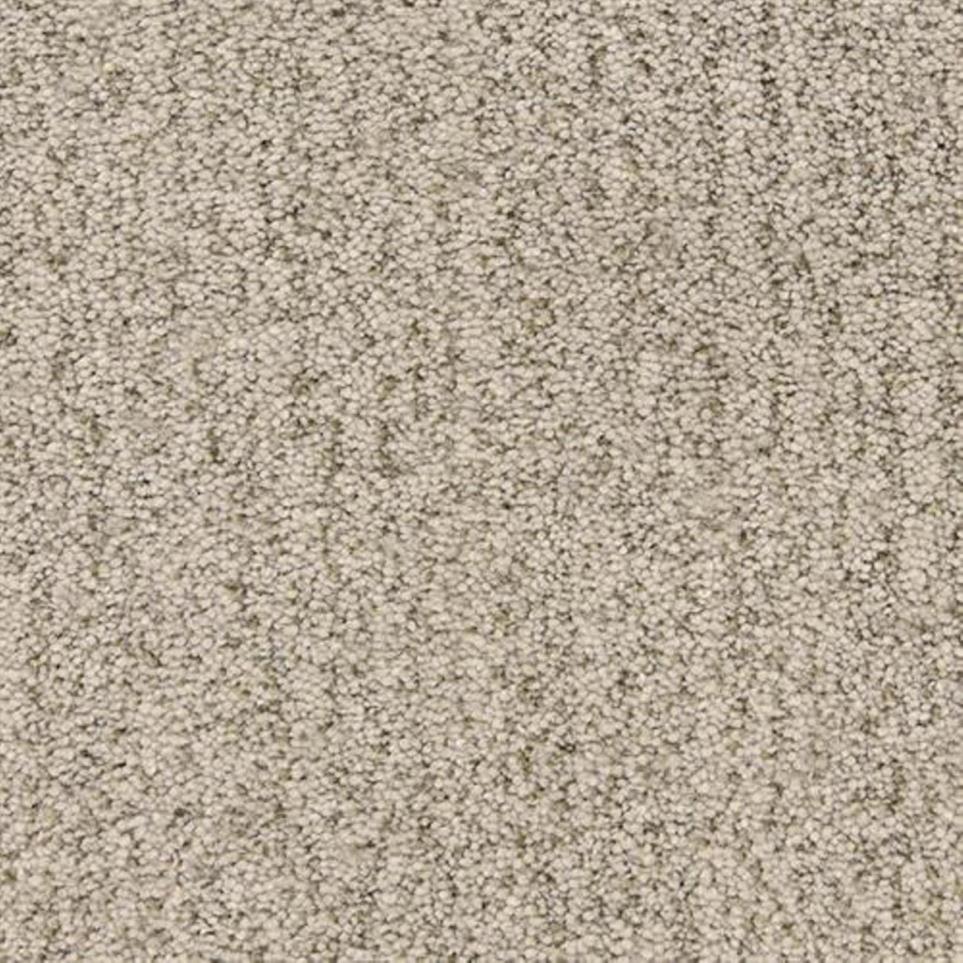 Textured Saxony Dolphin Beige/Tan Carpet