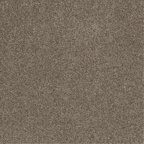 Textured Saxony Prairie Brown Carpet