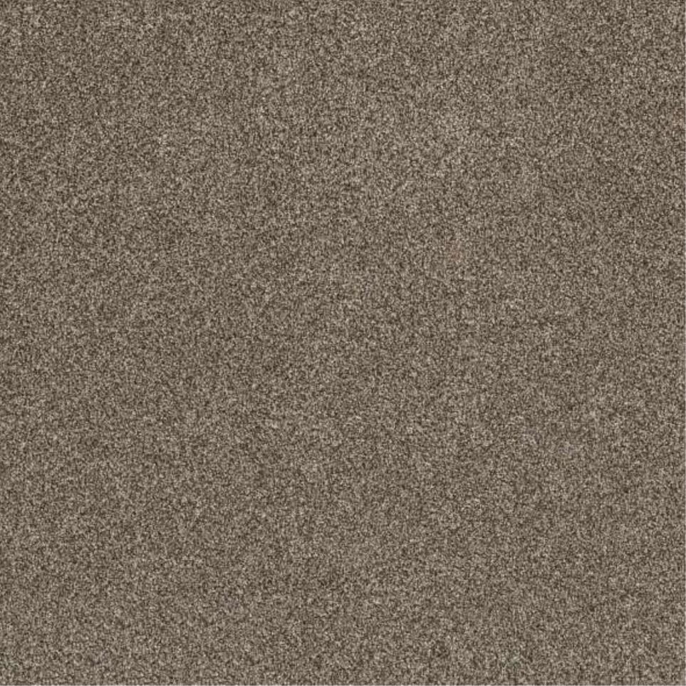 Textured Saxony Prairie Brown Carpet