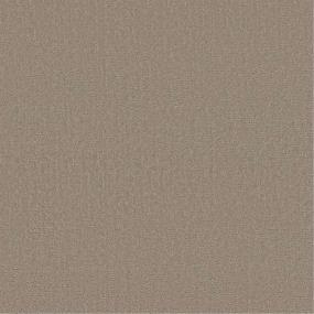 Pattern Barista Beige/Tan Carpet