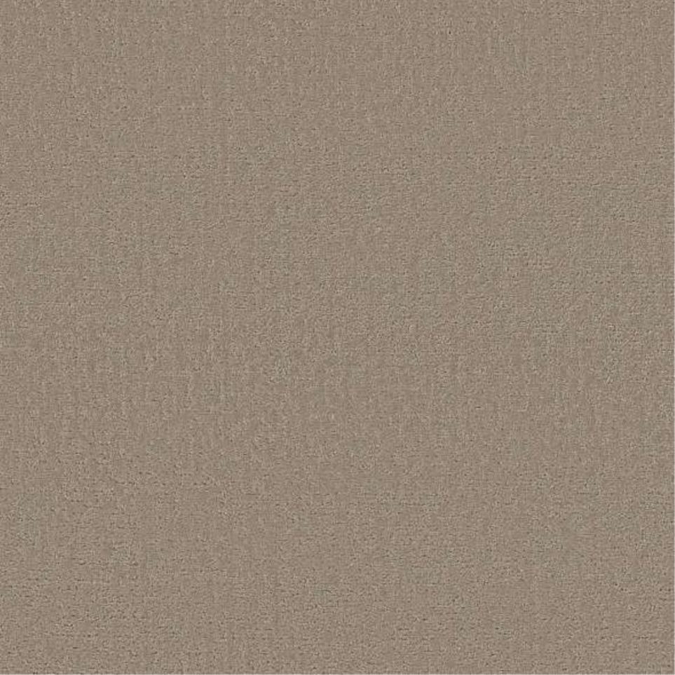 Pattern Barista Beige/Tan Carpet