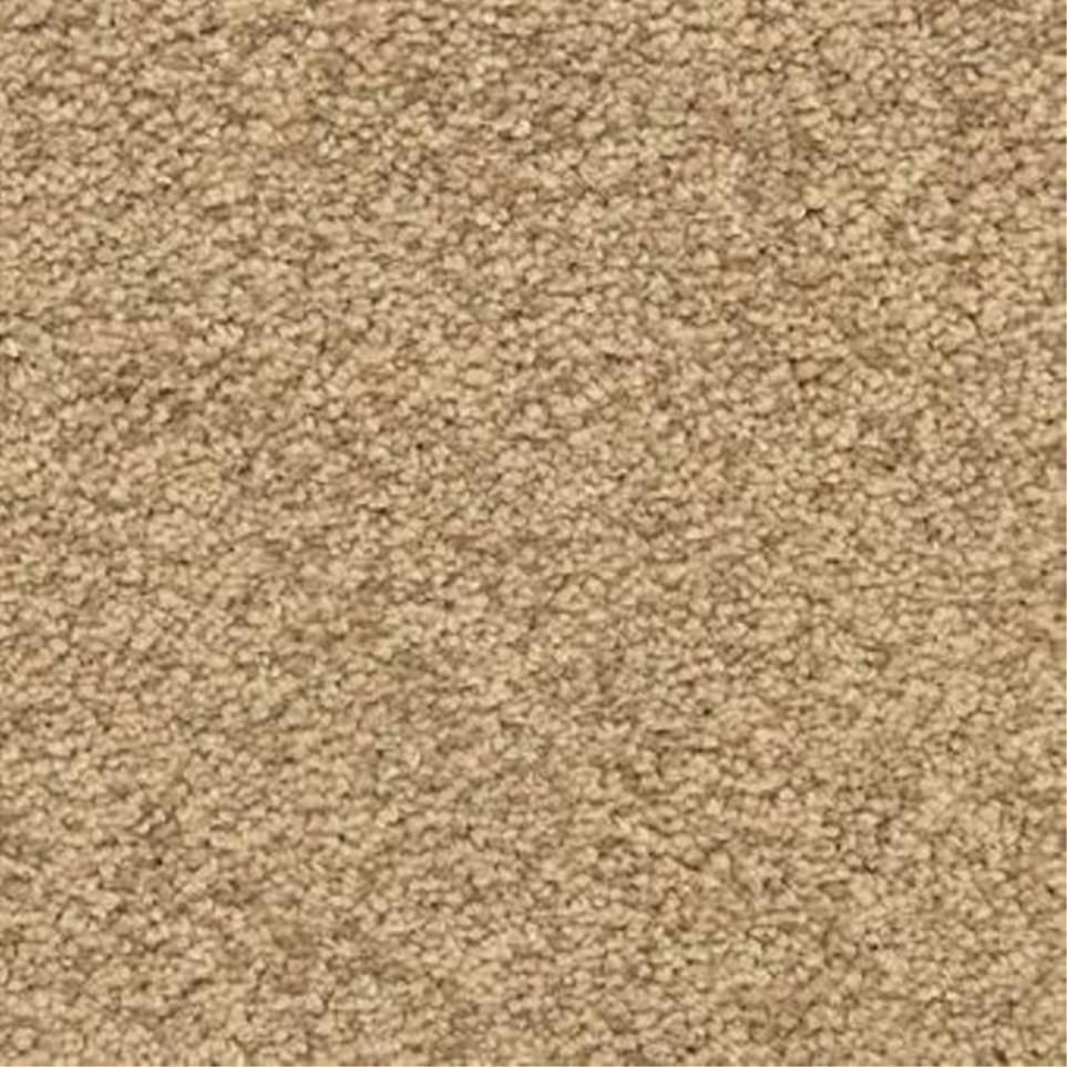 Casual Texture Bungalow Beige/Tan Carpet