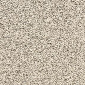 Textured Saxony Granite Beige/Tan Carpet