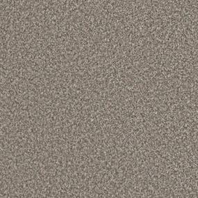 Textured Saxony Advisor Brown Carpet