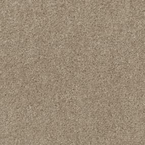 Texture Buff Beige/Tan Carpet