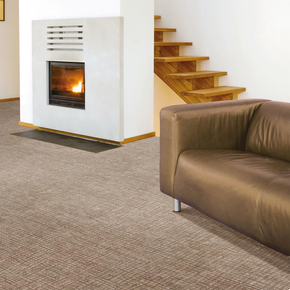 Woven Taupe Brown Carpet