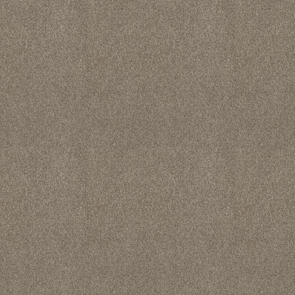 Plush Saxony Barista Beige/Tan Carpet