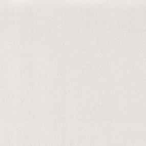 Textured Saxony Magnolia Petal White Carpet
