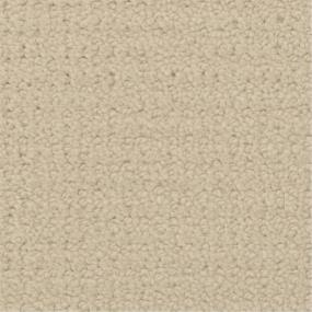 Pattern Dover Beige/Tan Carpet