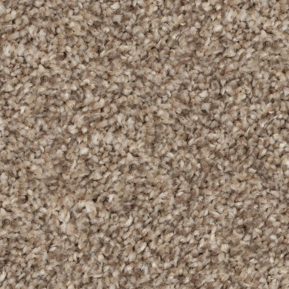 Casual Texture Garden Wall Brown Carpet