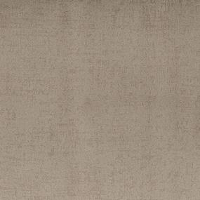 Pattern Worthy Brown Carpet