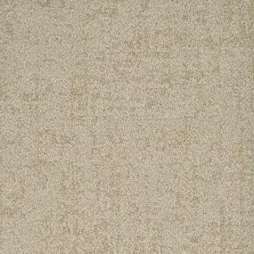 Pattern Worthy Brown Carpet
