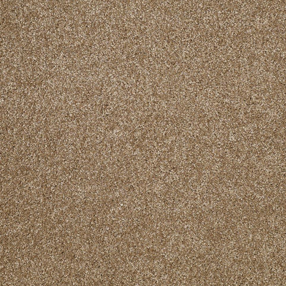 Texture Chamois Brown Carpet