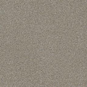 Textured Saxony Elevated Gray Carpet