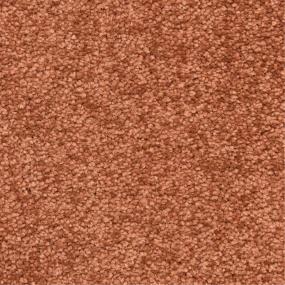 Casual Texture Coach House Brown Carpet