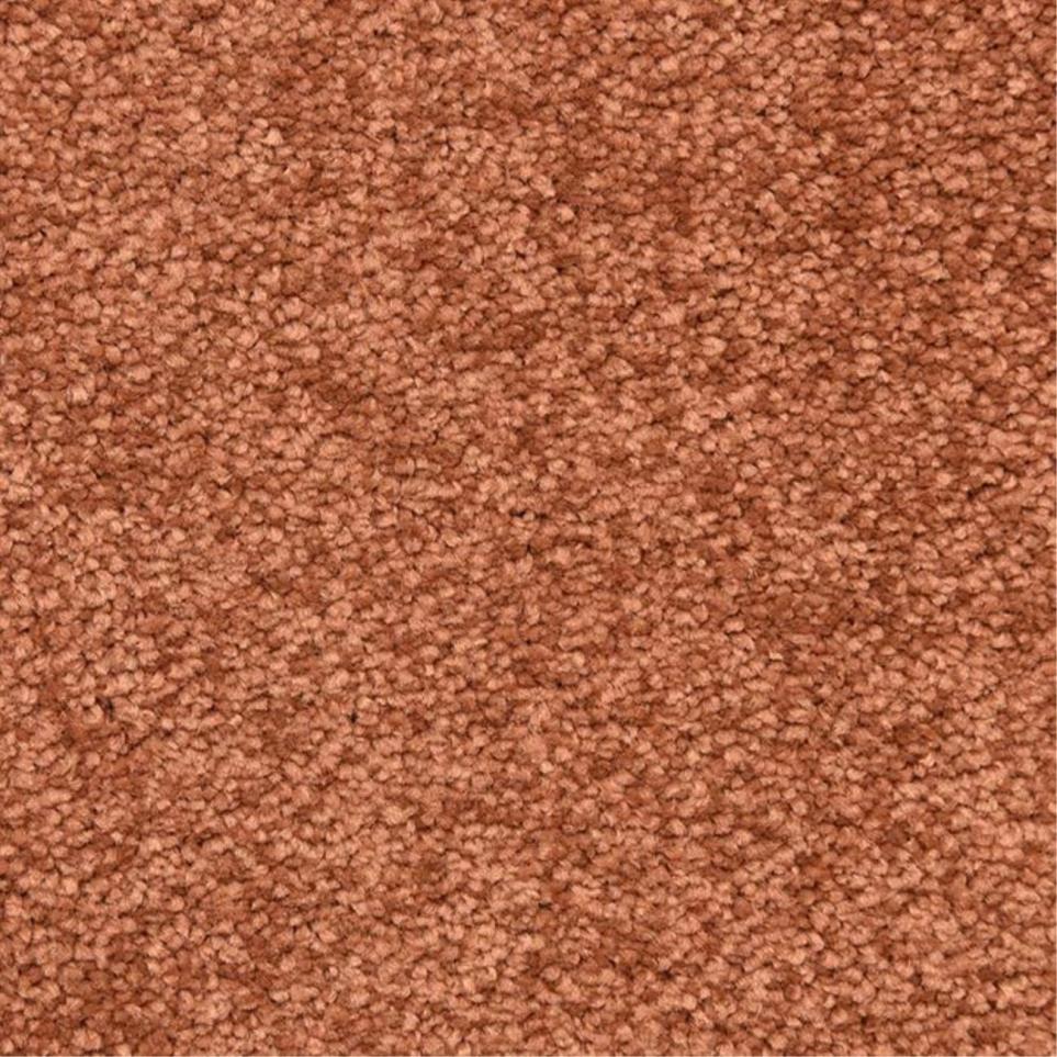 Casual Texture Coach House Brown Carpet