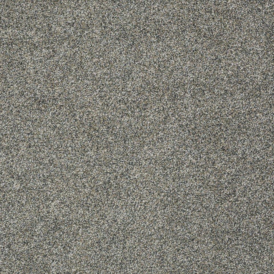 Texture Lunette Gray Carpet