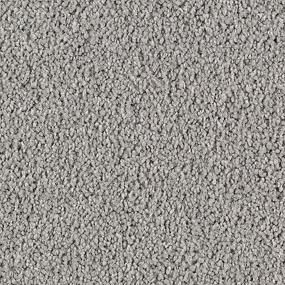 Cut Pile Rejuvenate Gray Carpet