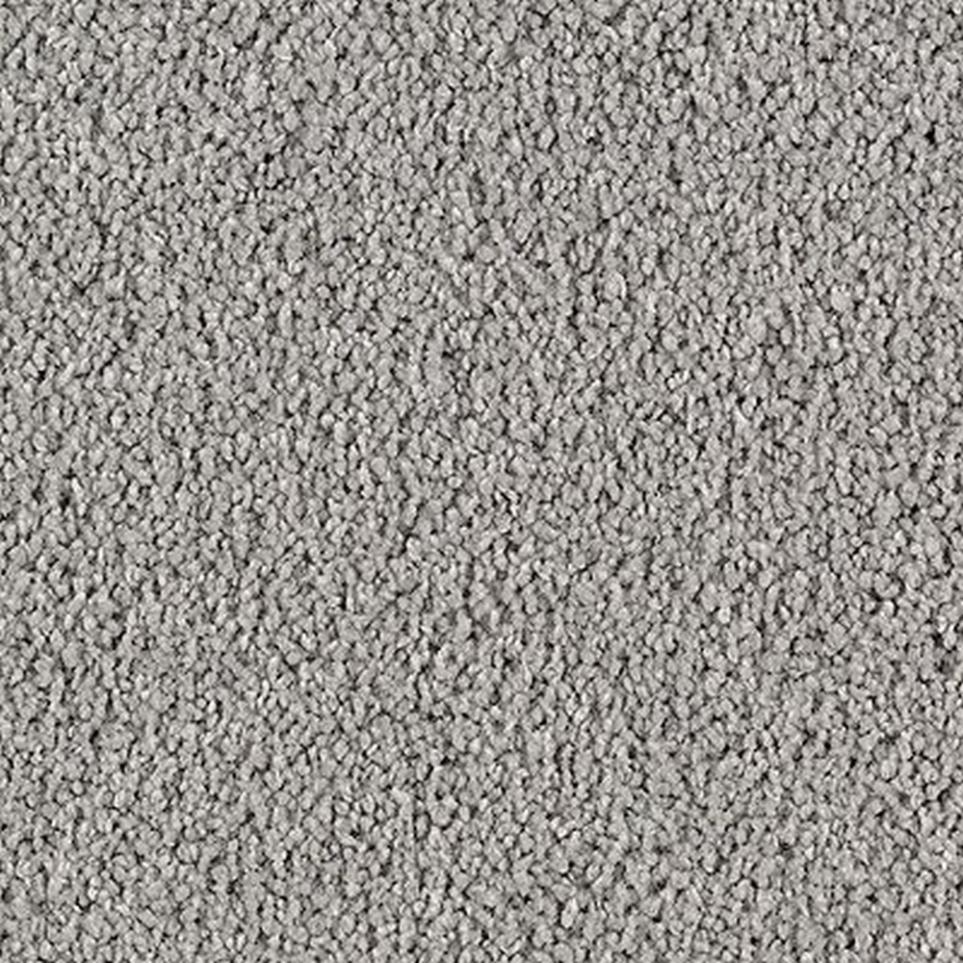 Cut Pile Rejuvenate Gray Carpet