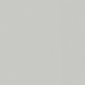 Texture Frost Gray Carpet