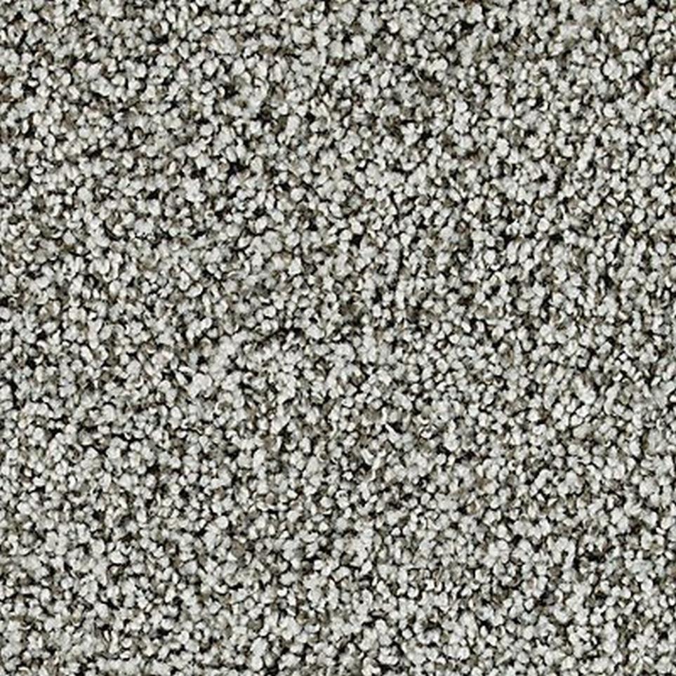 Textured Saxony Wrought Iron Gray Carpet