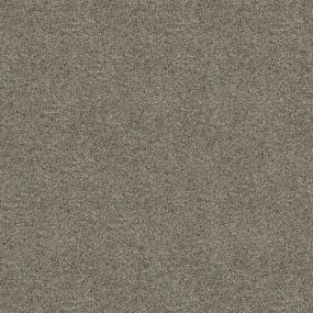 Textured Saxony Radisson Plus Gray Carpet