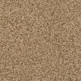 Casual Texture Tribeca Beige/Tan Carpet