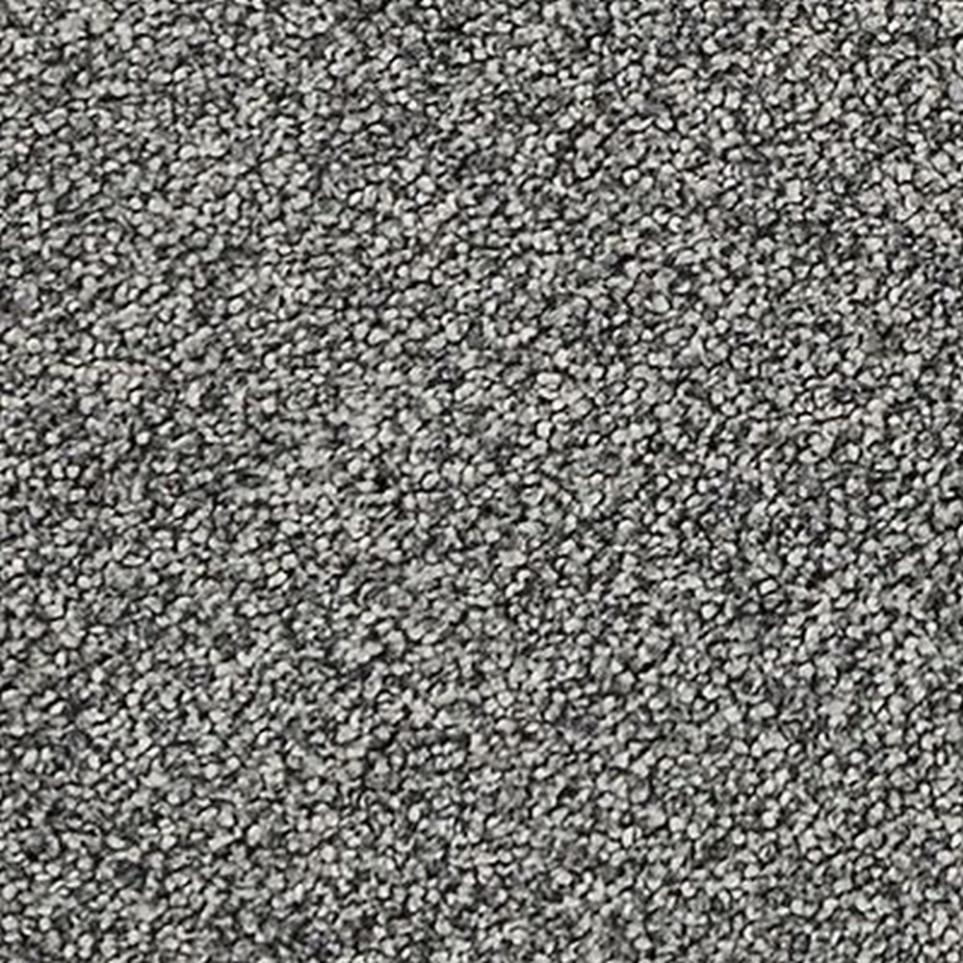 Textured Saxony Black Point Black Carpet