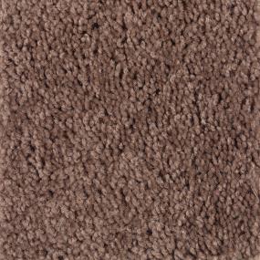 Textured Saxony Woodstained Brown Carpet