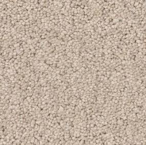 Plush Beige Tone Beige/Tan Carpet