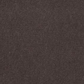 Cut Pile Pewter Brown Carpet