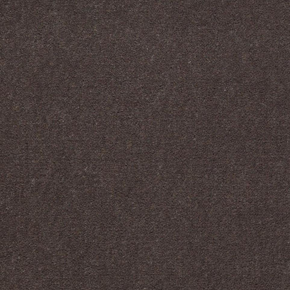 Cut Pile Pewter Brown Carpet