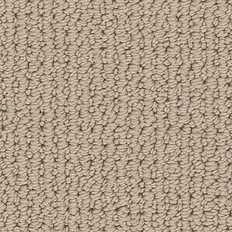 Loop Cascade Beige/Tan Carpet