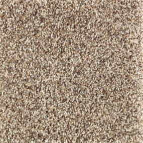 Textured Saxony Country Twill Beige/Tan Carpet