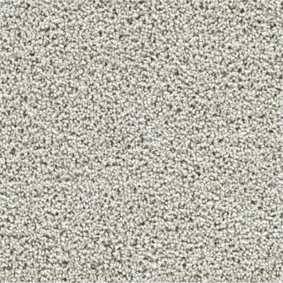 Textured Saxony Bountiful Gray Carpet