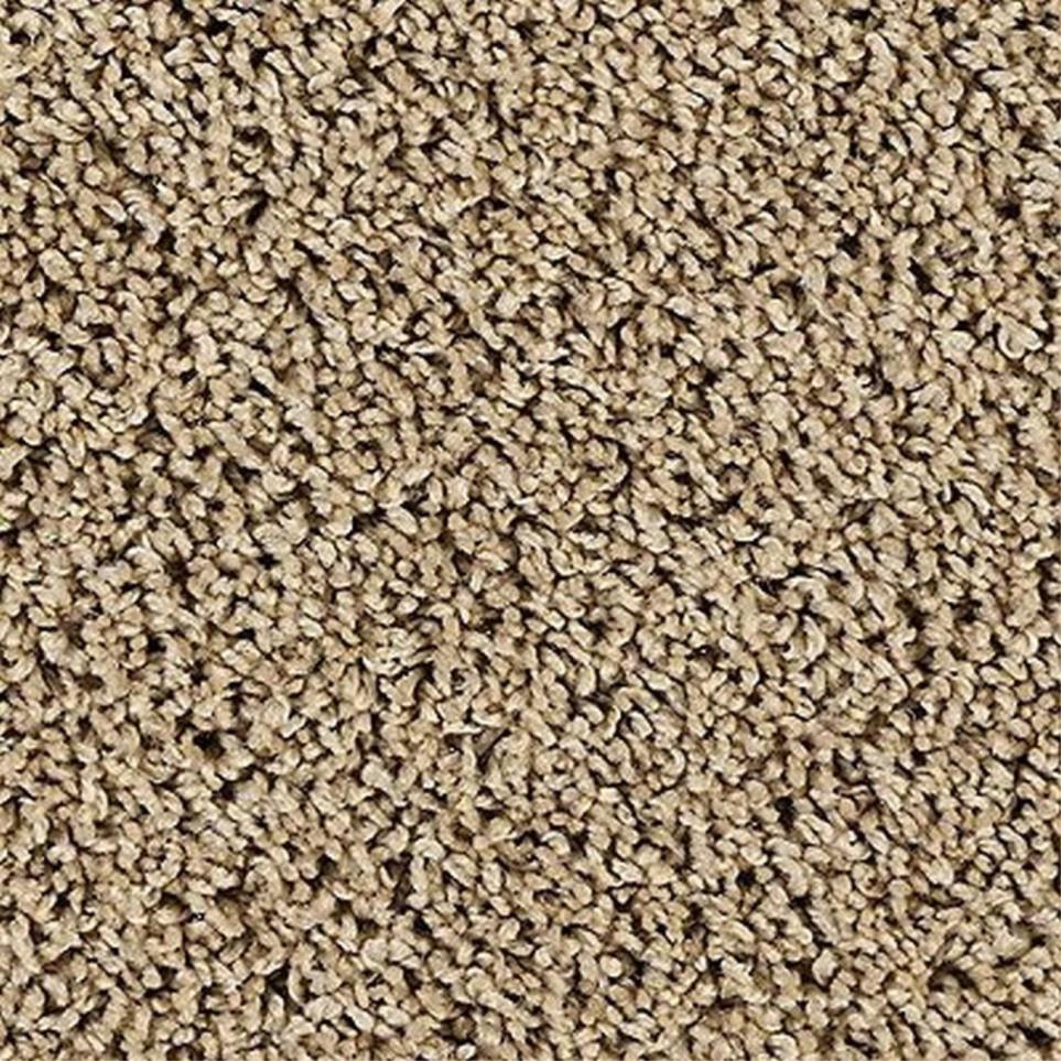 Textured Saxony Graham Cracker Beige/Tan Carpet