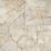 Wintour Ivory Matte