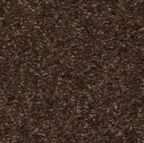 Textured Saxony Delighted Brown Carpet