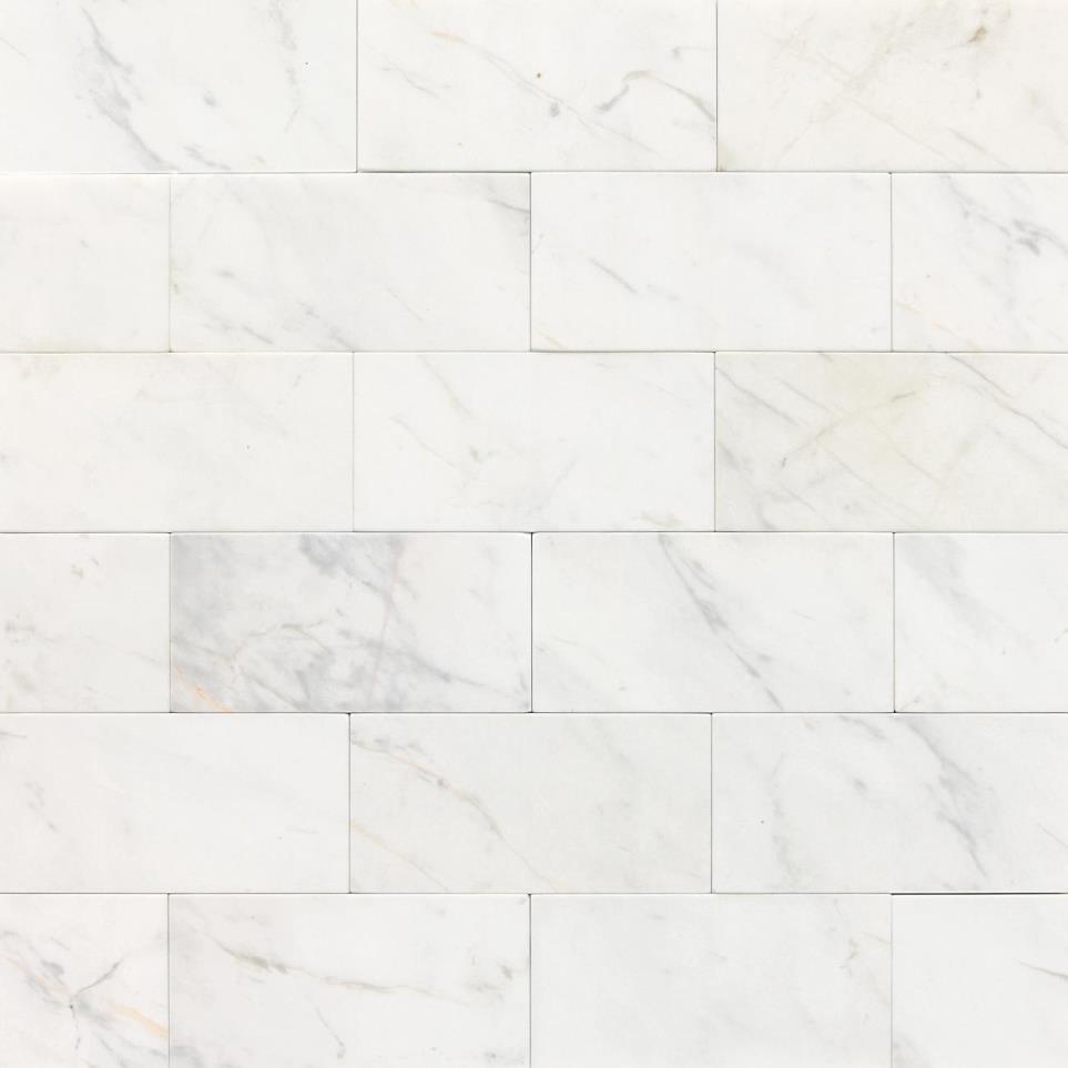 Tile Contempo White Polished White Tile