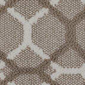 Loop Haven Brown Carpet