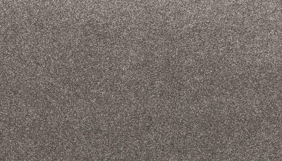 Textured Saxony Asphalt Gray Carpet