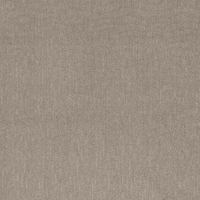 Pattern Basketweave Beige/Tan Carpet