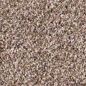Textured Saxony Winter Bark Brown Carpet